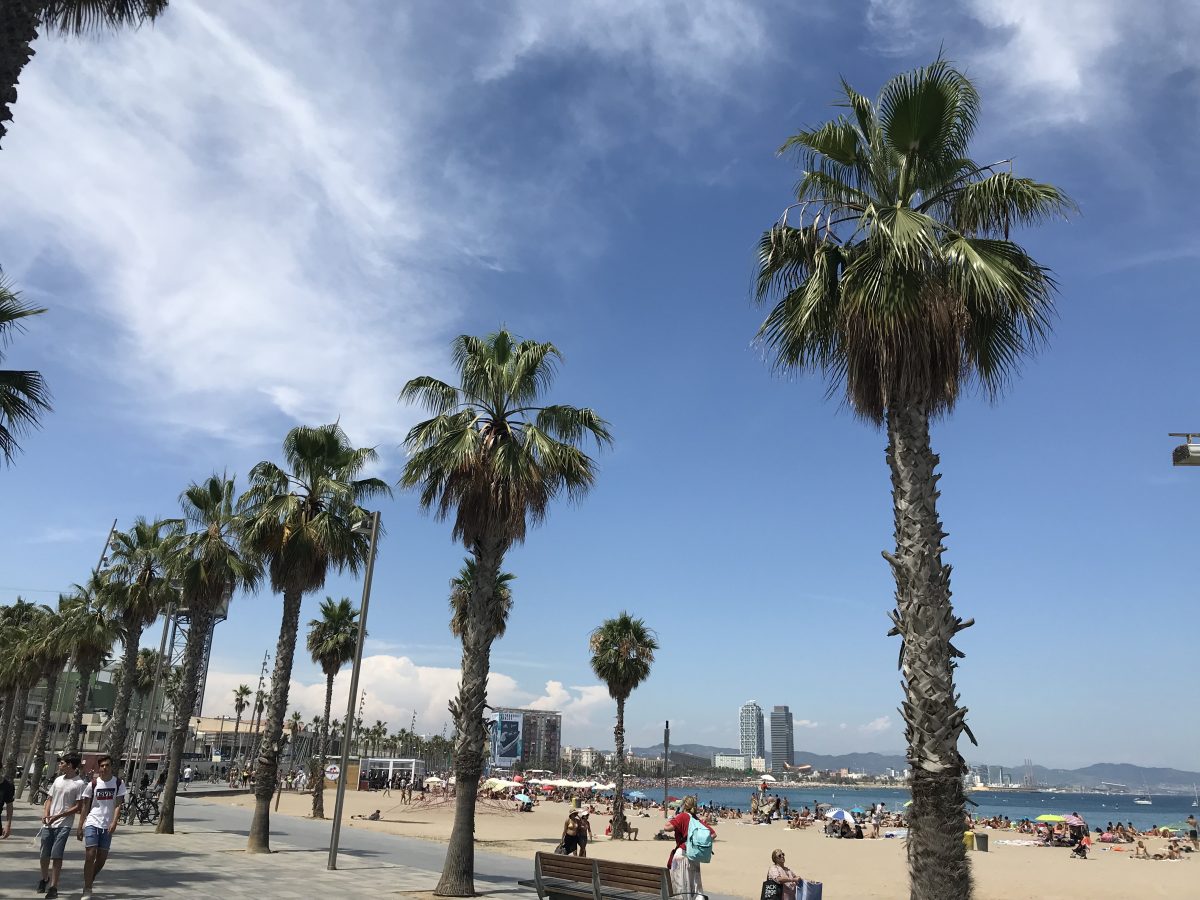 IMG_2653 – V de Viajar